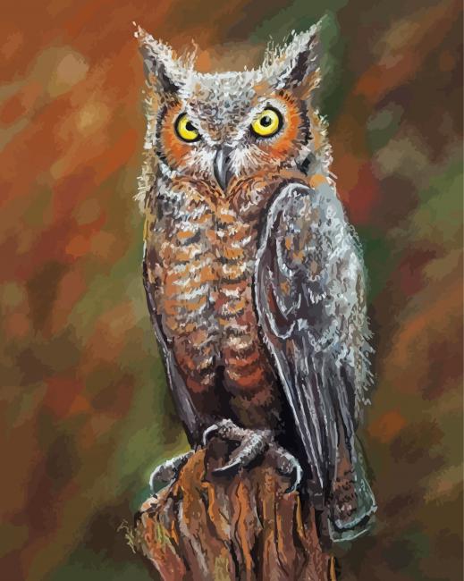 Long Eared Owl paint by numbers