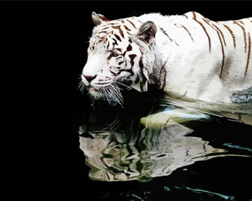 White Tiger Reflection paint by numbers