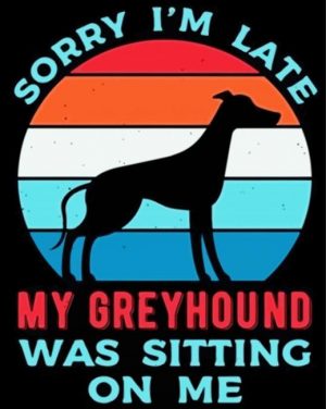 Sorry I'm Late My Greyhound Was Sitting On Me paint by numbers