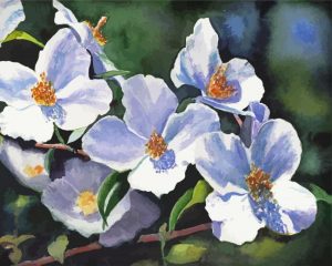 White Dog wood Plant paint by numbers