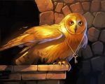 Golden Owl paint by numbers