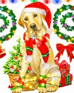 Labrador Retriever Dog paint by numbers