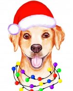 Christmas Labrador Retriever paint by numbers