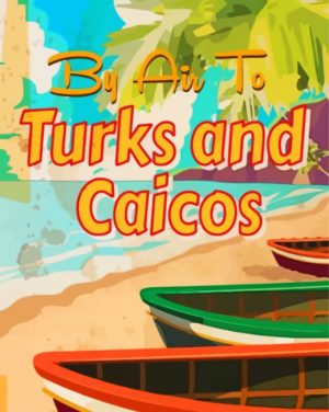 Turks And Caicos Islands Poster paint by numbers