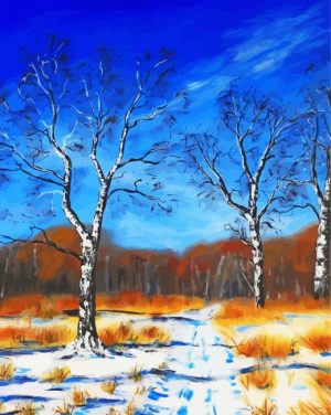 Birches In Winter paint by numbers
