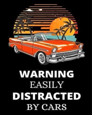 Easily Distracted By Books And Cars paint by numbers