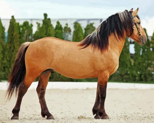 Paso Fino paint by numbers