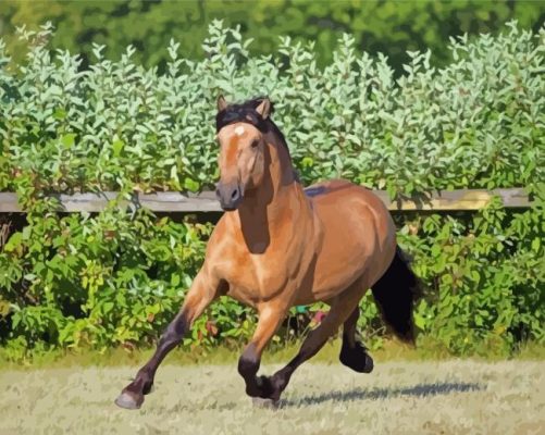 Cool Paso Fino paint by numbers