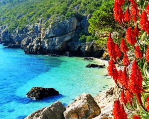 Portinho Da Arrabida paint by numbers