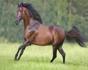 Running Paso Fino paint by numbers