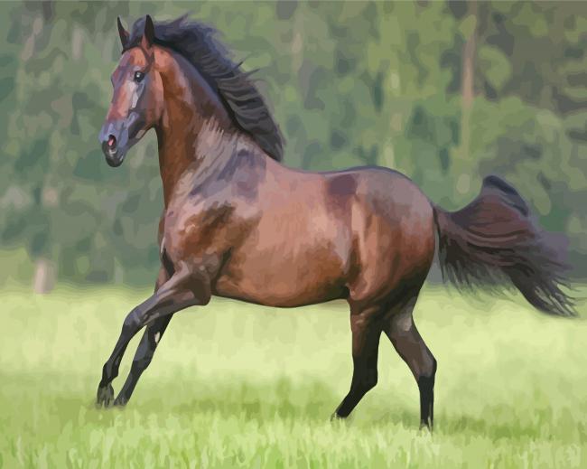Running Paso Fino paint by numbers
