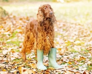 Irish Setter In Fall Leaves Paint By Numbers