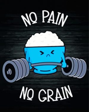 No Pain No Grain paint by numbers