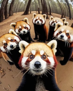 Red Pandas Selfie paint by numbers