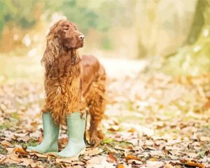 Irish Setter Dog paint by numbers