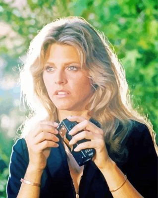 The Bionic Woman paint by numbers