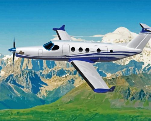 The Cessna Plane Paint By Numbers