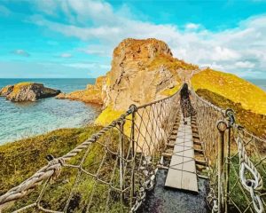 Carrick a rede paint by numbers