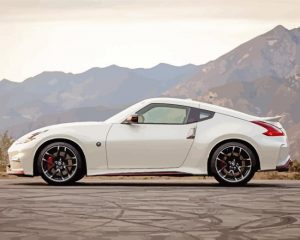 370z Car Paint by numbers