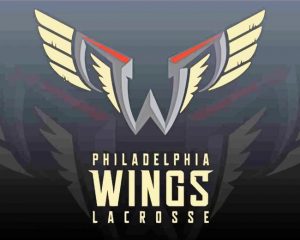 Aesthetic Philadelphia Wings Paint By Numbers