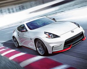 Cool 370z Car Paint By Numbers
