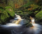 Padley Gorge Sheffield Paint By Numbers