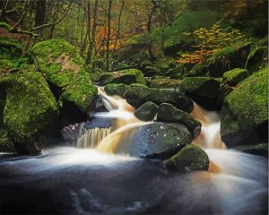 Padley Gorge Sheffield Paint By Numbers