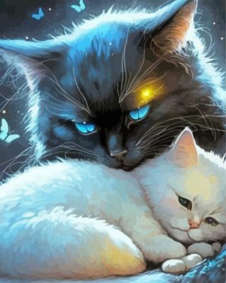 Black And White Cats Paint By Numbers 