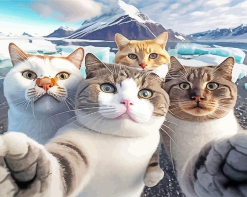 Aesthetic Cats Selfie Paint By Numbers 