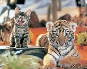 Tiger And Cat Paint By Numbers