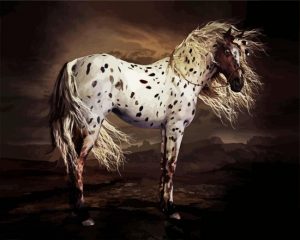 Leopard Appaloosa Horse Paint By Numbers