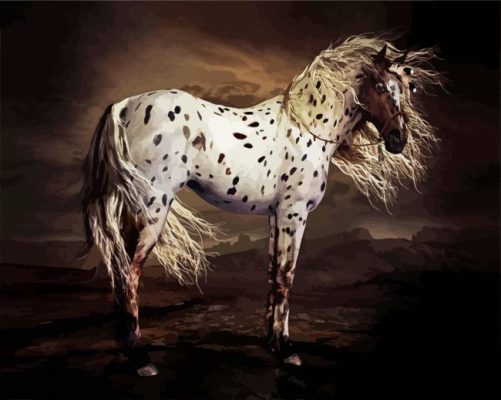 Leopard Appaloosa Horse Paint By Numbers 