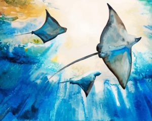 Stingrays Paint By Numbers