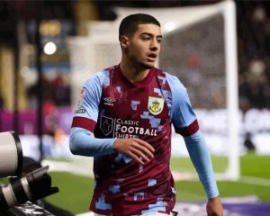 Anass Zaroury Paint By Numbers