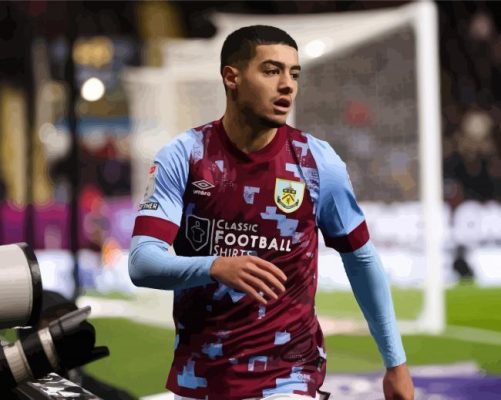 Anass Zaroury Paint By Numbers