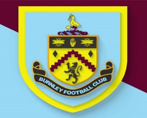 Burnley Football Club Paint By Numbers 