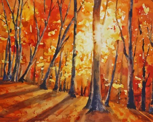 Abstract Woods Paint By Numbers 