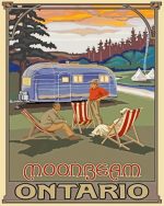 Aesthetic Moonbeam Township Paint By Numbers