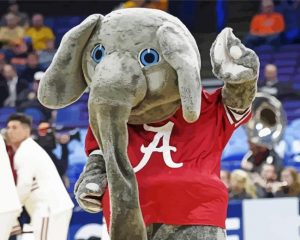 Big Al Paint By Numbers