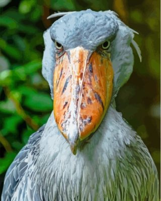 Close Up Shoebill Paint By Numbers 