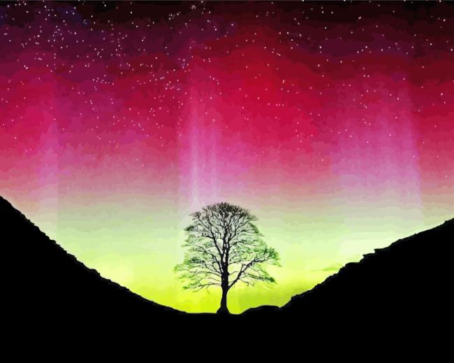 Aurora Sycamore Gap Paint By Numbers