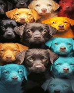 Colorful Dogs Paint By Numbers