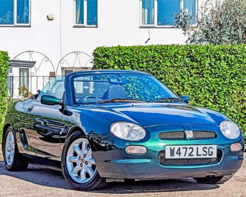 Cool MGF Car Paint By Numbers 