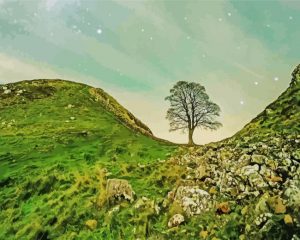 Aesthetic Sycamore Gap Paint By Numbers