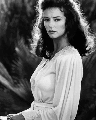 Monochrome Rachel Ward Paint By Numbers 