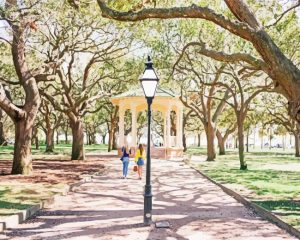 White Point Gardens Charleston Paint By Numbers