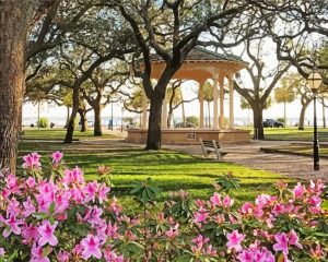 White Point Garden Paint By Numbers