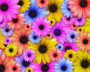 Colorful Sunflowers Paint By Numbers