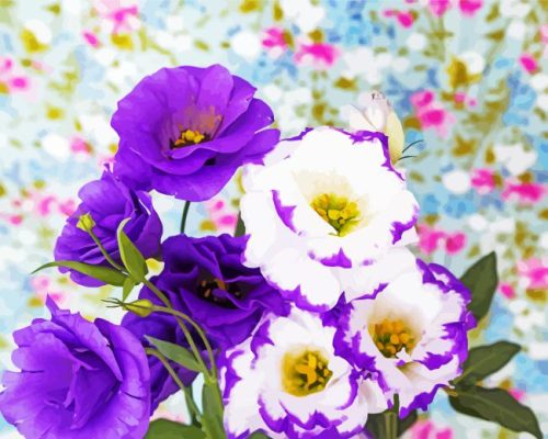 Lisianthus Flowers Paint By Numbers