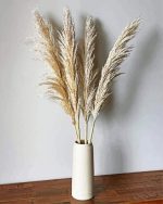 Pampas In Vase Paint By Numbers